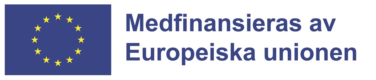 Logotype för EU