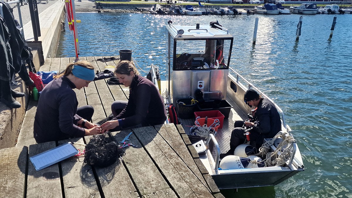 Två personer på en brygga vid ett hav och vid bryggan ligger en båt med en person i.